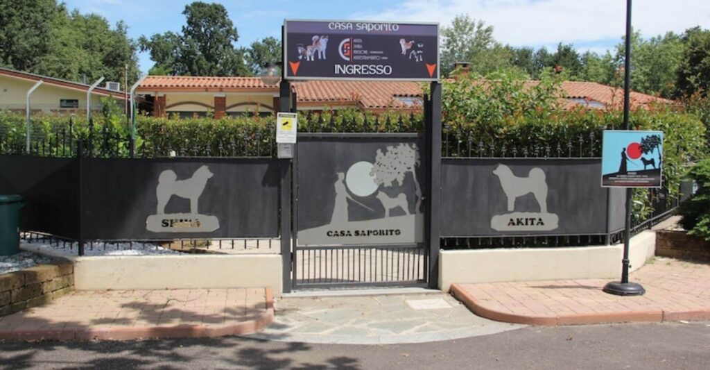 Realizzazione siti web centri cinofili