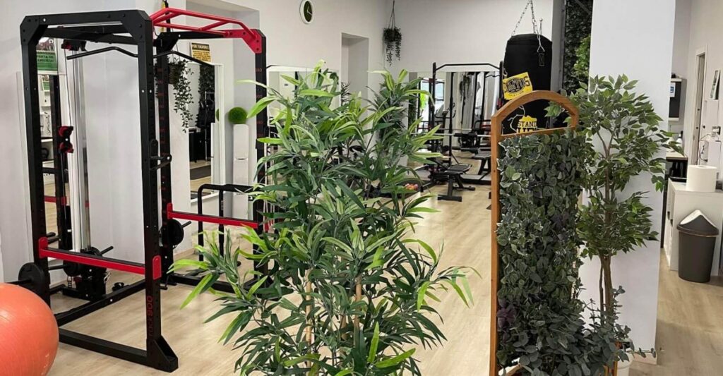 Realizzazione siti web palestre